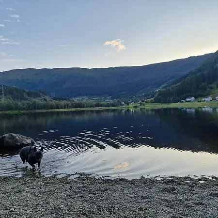 Ks Modern & Cozy Flat 20 Min From Centre Appartement Bergen