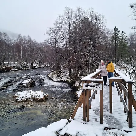 Ks Modern & Cozy Flat 20 Min From Centre Appartement Bergen