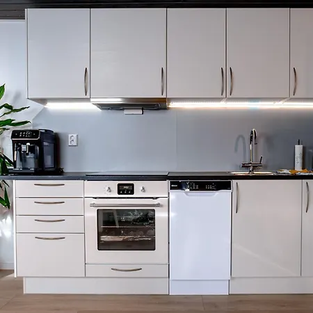 Ks Modern & Cozy Flat 20 Min From Centre דירה